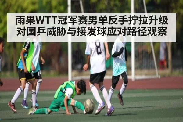 雨果WTT冠军赛男单反手拧拉升级对国乒威胁与接发球应对路径观察